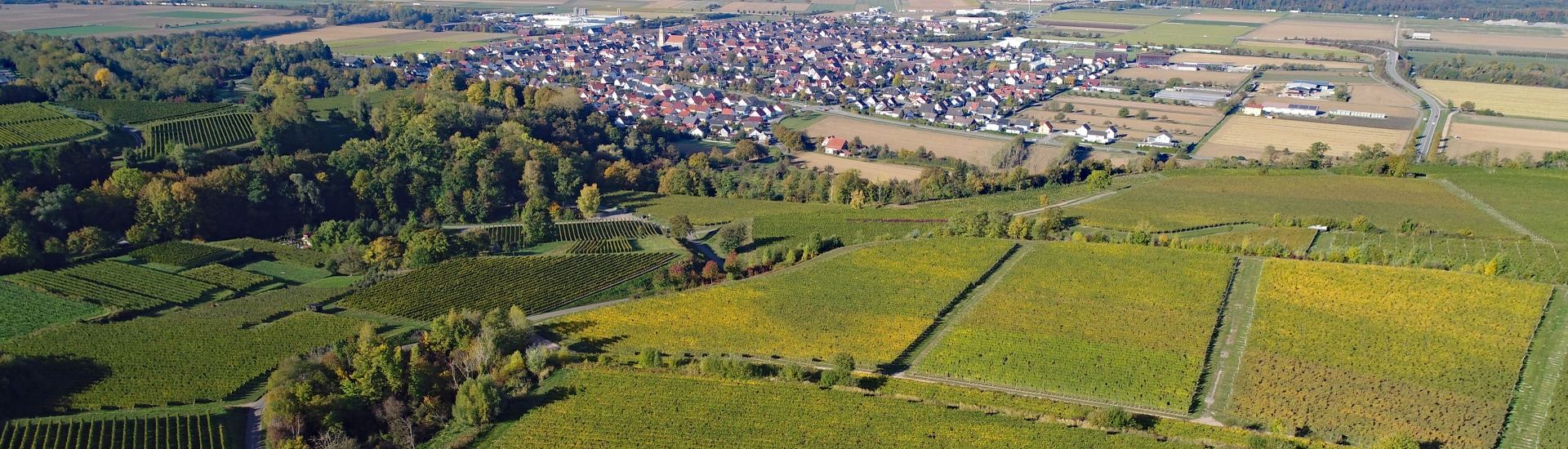 Blick auf Ringsheim
