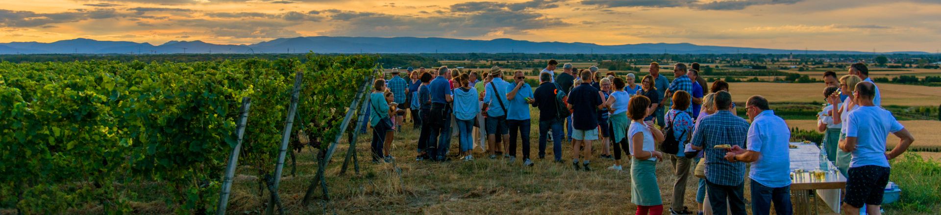 Weinprobe in Ringsheim